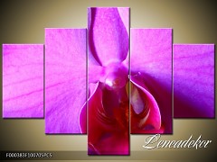 Obraz na zeď-květy- 5D F000383 